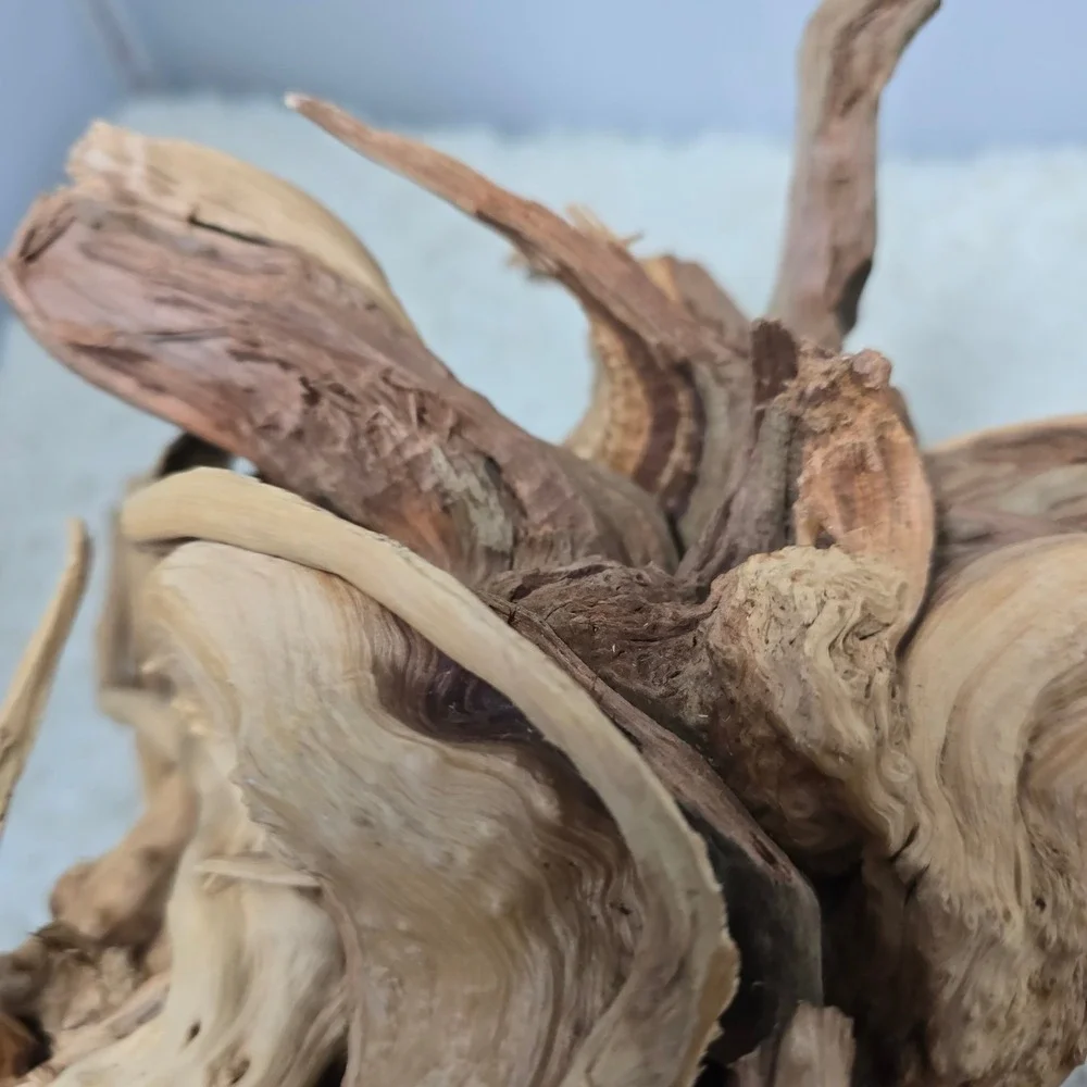 Natural Driftwood Aquarium Terrarium Decor 16 Inch Tan Large Root‎ Sculpture